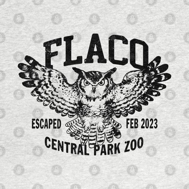 FLACO New York Owl 1 by Buck Tee Original by Buck Tee